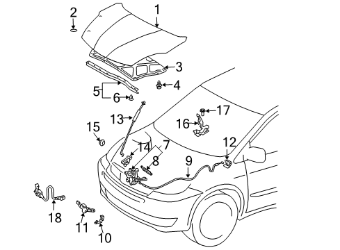 2010 Toyota Sienna Hood & Components Diagram