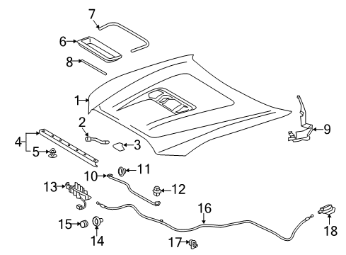 2021 Toyota Tacoma Hood & Components Diagram