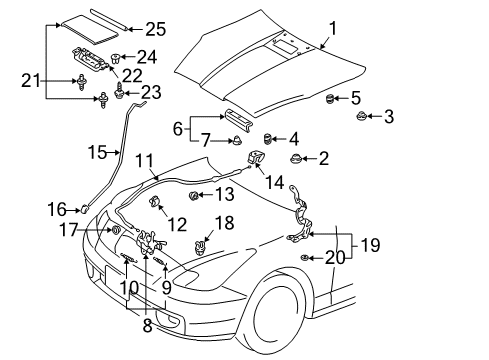 2003 Toyota Celica Hood & Components, Exterior Trim, Body Diagram