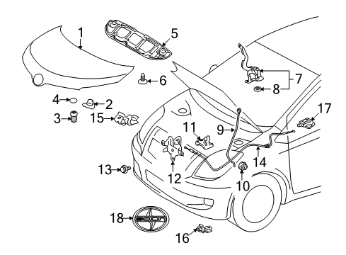 2013 Scion xD Hood & Components, Exterior Trim, Body Diagram