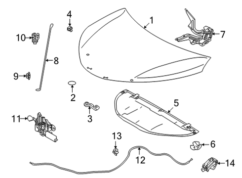 2021 Toyota Sienna Hood & Components Diagram