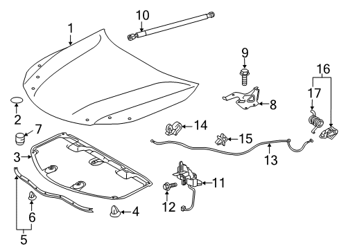 2017 Toyota Avalon Hood & Components, Body Diagram