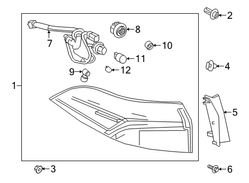 2023 Toyota Corolla Combination Lamps Diagram