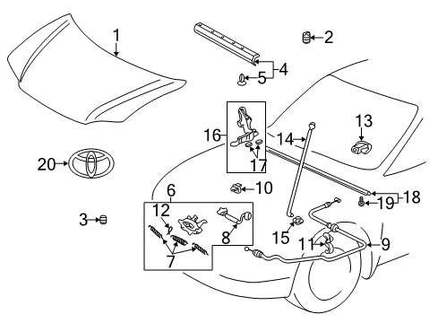 2005 Toyota Echo Hood & Components, Body Diagram