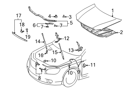 2009 Toyota Avalon Hood & Components Diagram