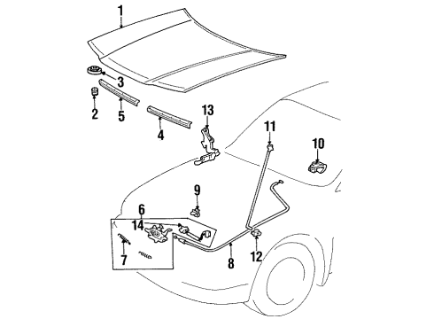 1996 Toyota Paseo Lock Assembly, Hood Diagram for 53510-16330