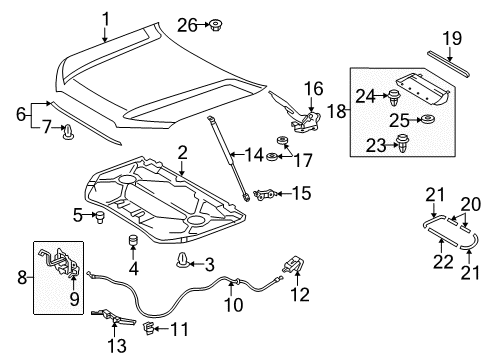 2013 Toyota 4Runner Hood & Components, Exterior Trim, Body Diagram