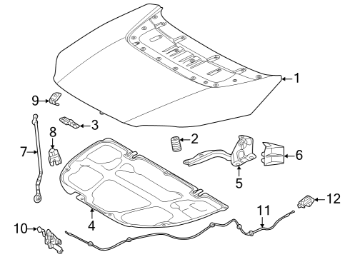 2023 Toyota bZ4X CABLE ASSY, HOOD LOC Diagram for 53630-42150