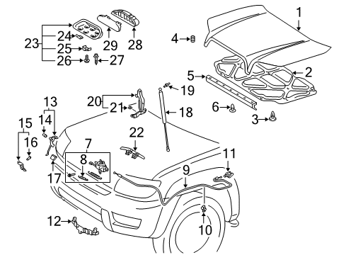 2005 Toyota 4Runner Hood & Components, Body Diagram