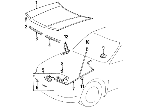 1995 Toyota Tercel Hood & Components Diagram