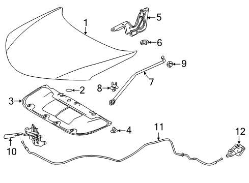 2014 Toyota RAV4 Hood & Components, Body Diagram