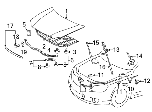 2012 Toyota Avalon Hood & Components Diagram