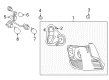 Scion tC Back Up Light Diagram - 81551-21330