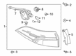 2020 Toyota Corolla Tail Light Diagram - 81560-02C10