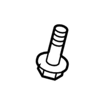 Scion 90159-60303 Amplifier Screw