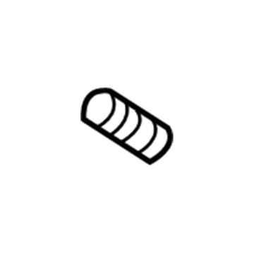 Scion 90501-A0006 Tailpipe Spring