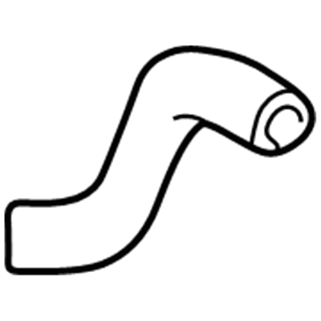 Scion 16571-21020 Center Hose