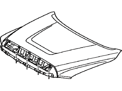 Toyota 53301-0C040 Hood Sub-Assy