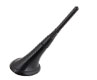 2010 Toyota Land Cruiser Antenna